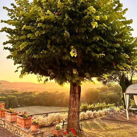 Torre Palombara - Dimora Storica * ナルニ