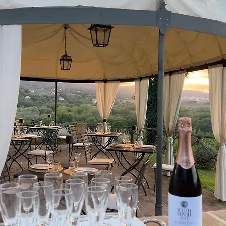 Torre Palombara - Dimora Storica 农家乐 纳尔尼