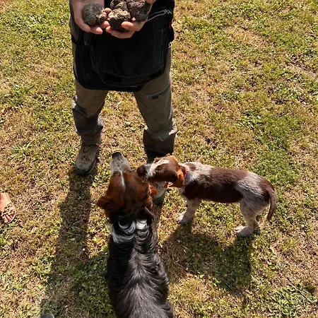 农家乐 Torre Palombara - Dimora Storica *