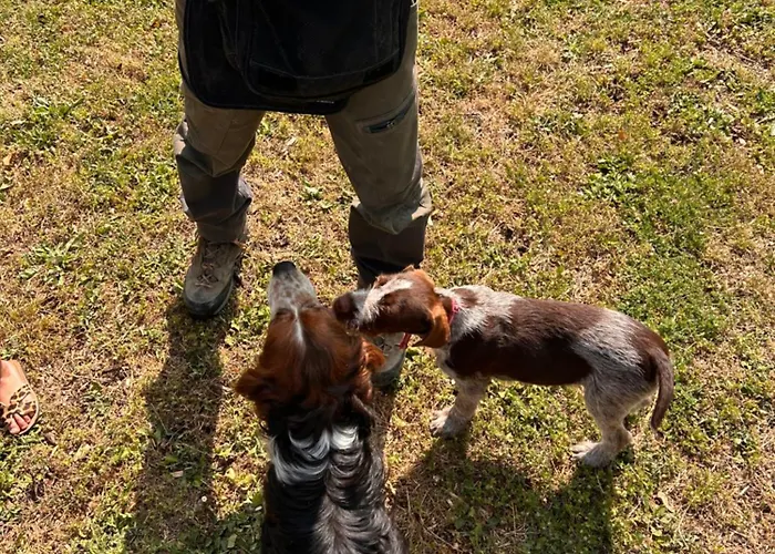 Farma Torre Palombara - Dimora Storica *